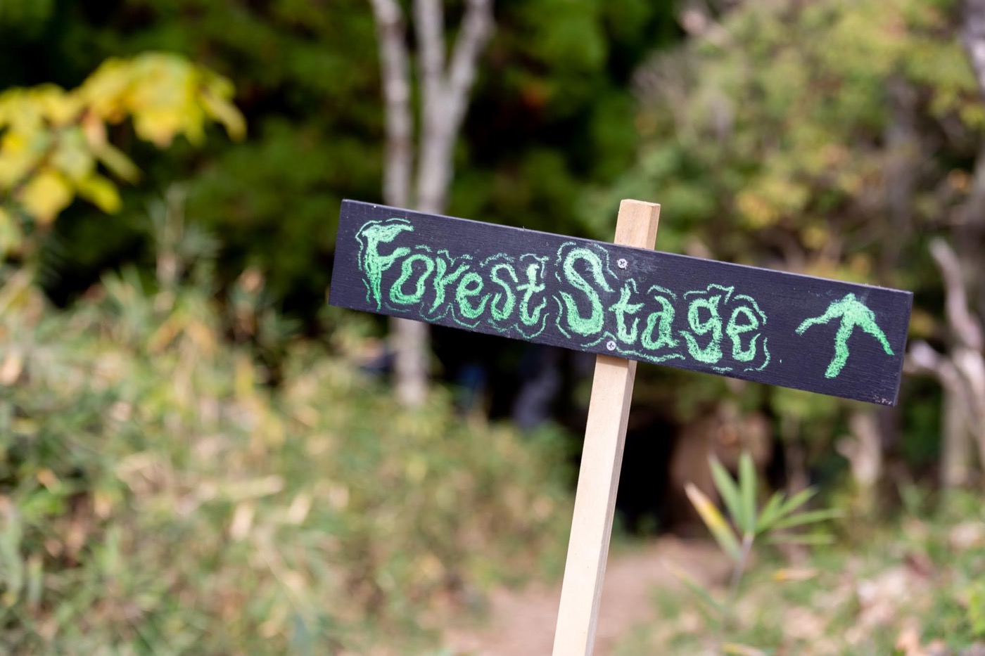 FOREST STAGE入口指標