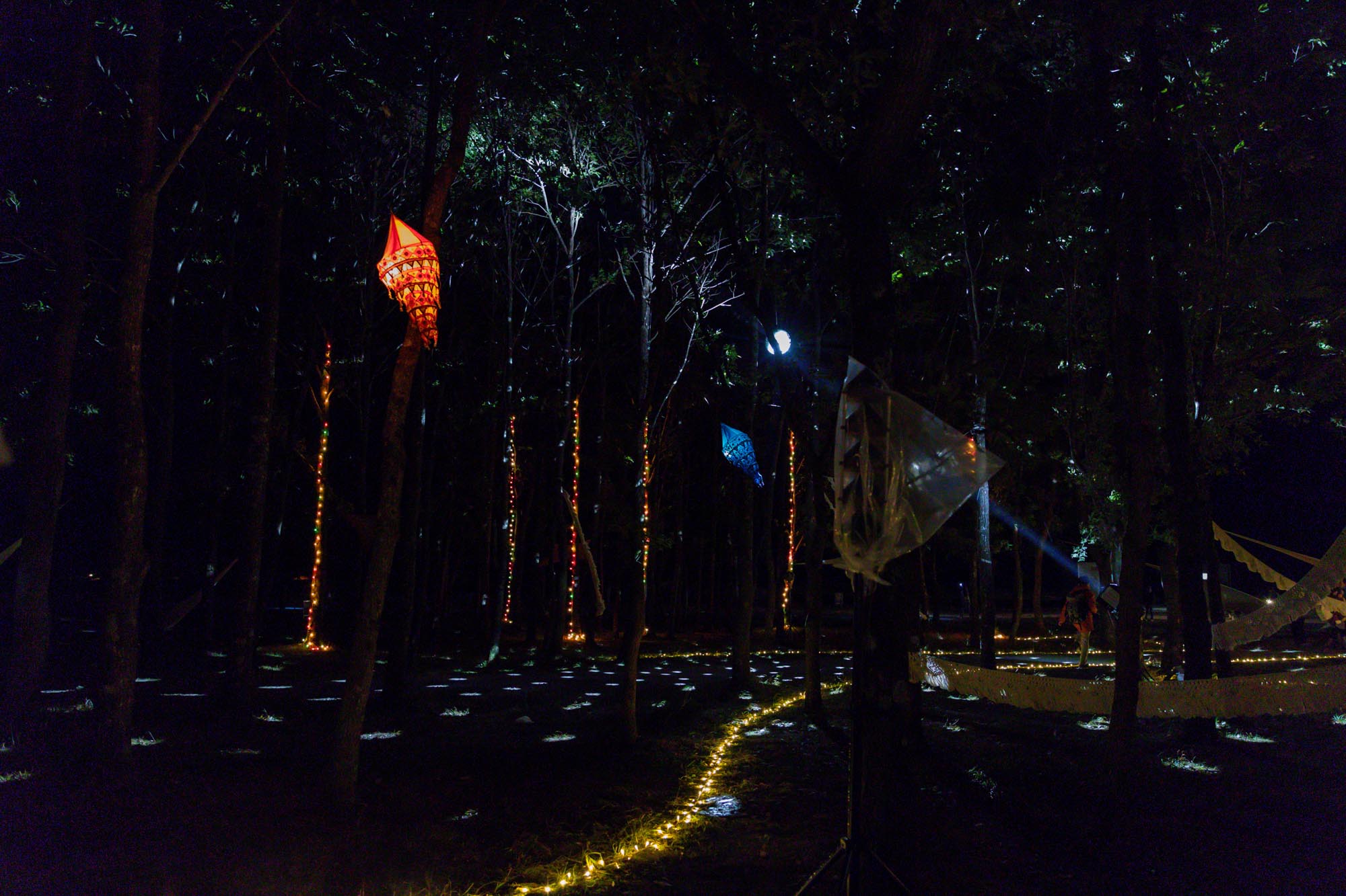 森の中のライティングと装飾
