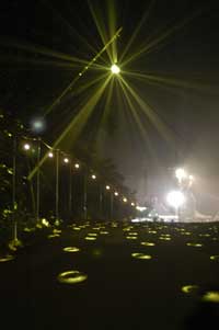 1196_1_1.jpg