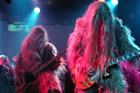 Super Furry Animals