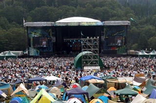 tarp_3.jpg