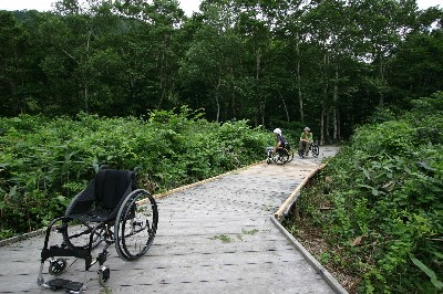 wheelchairs02.jpg