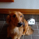 gonchan1